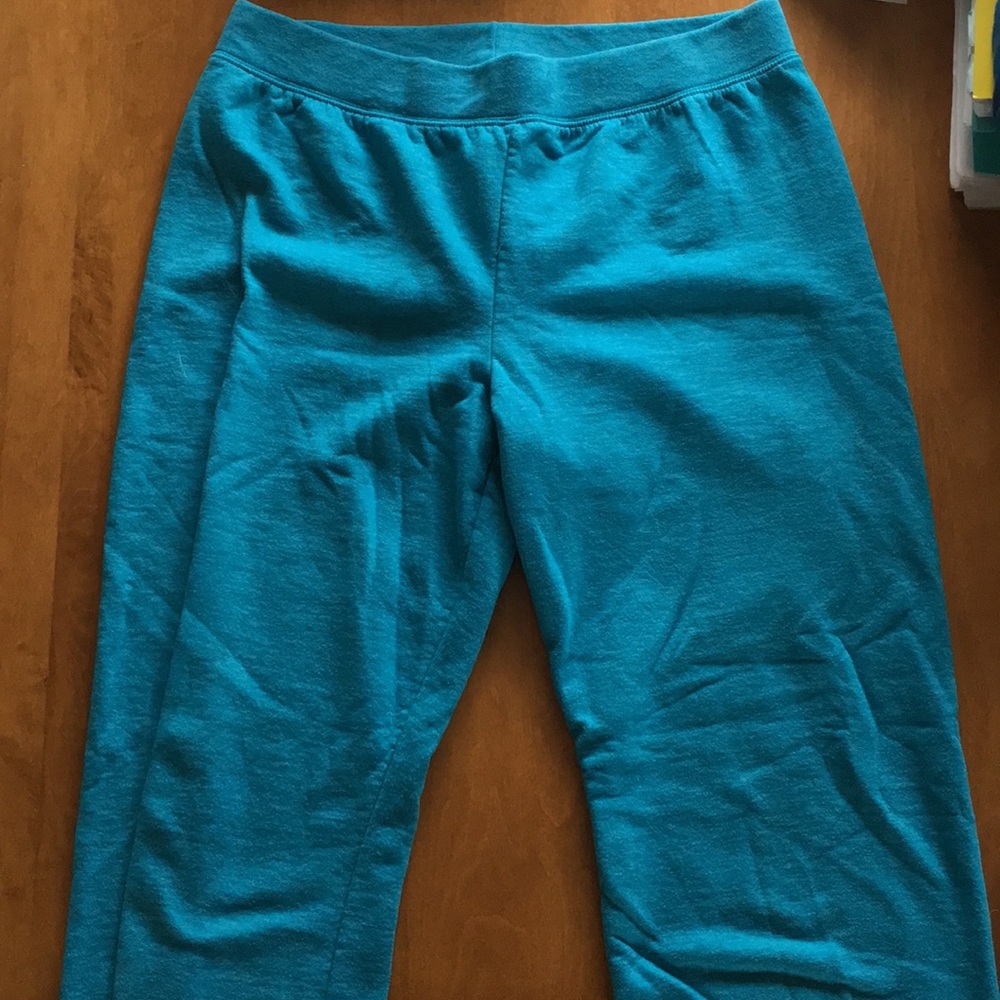 Teal sweatpants from Hanes (petite small)